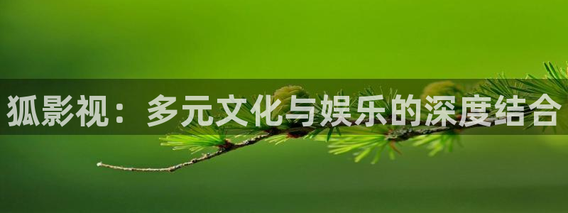 麻花视频mv